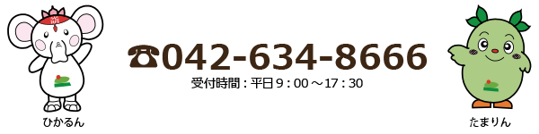  042-634-8666